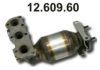 EBERSP?CHER 12.609.60 Manifold Catalytic Converter